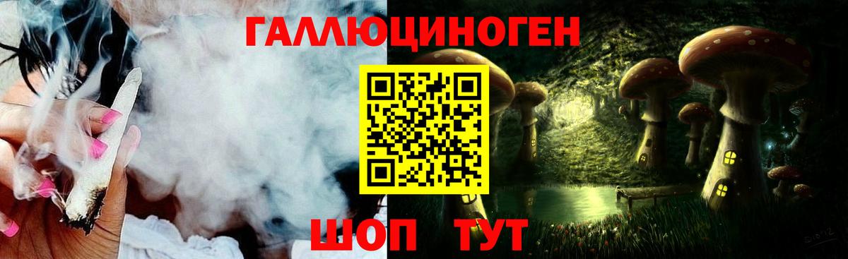 Галлюциногенные грибы прущие грибы Дагестанские Огни